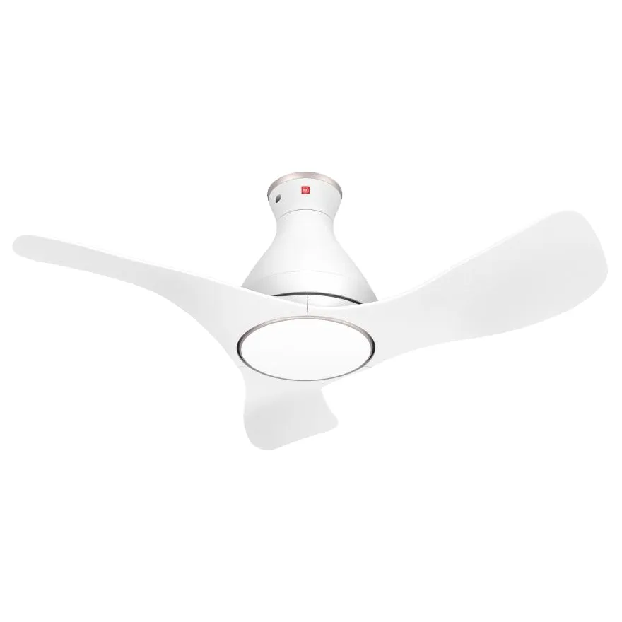 AIRY 40 WIFI DC CEILING FAN WITH LIGHT