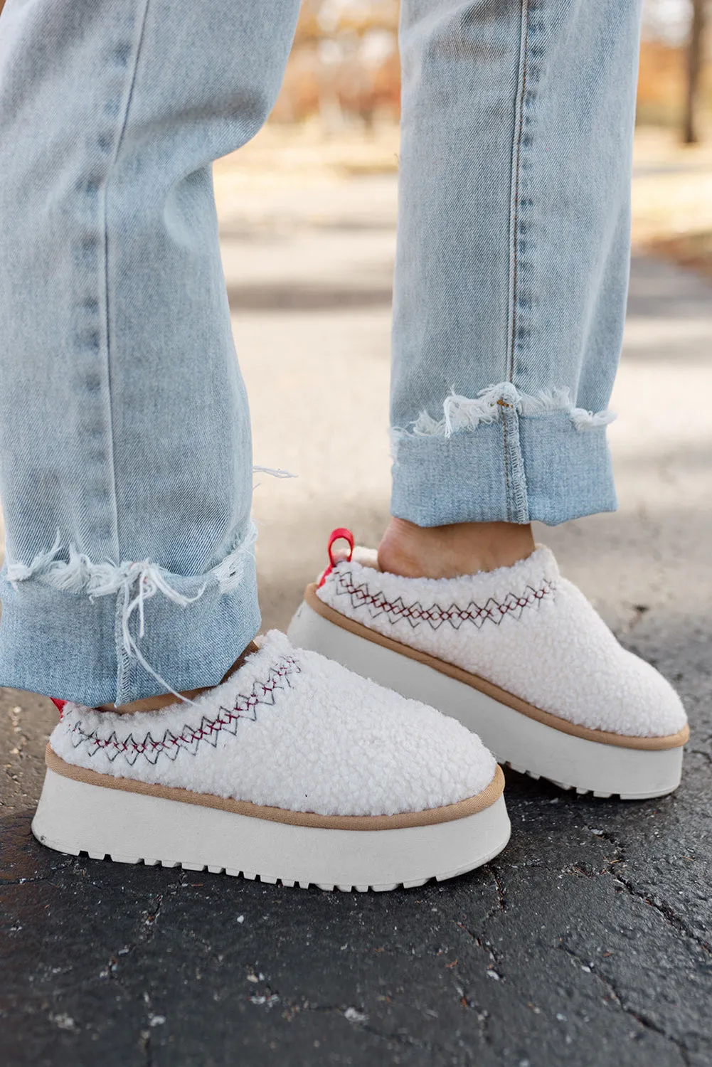 Embroidered Sherpa Plush Thick Sole Winter Slippers