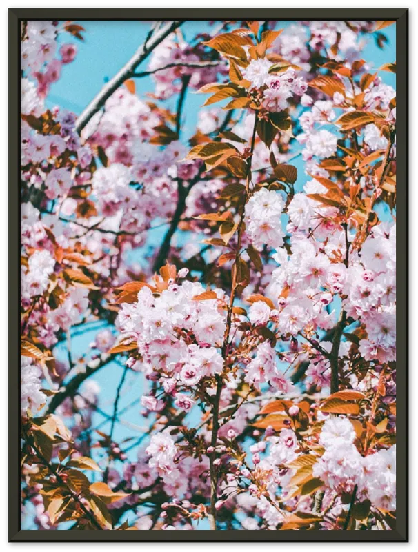 Floral - Print